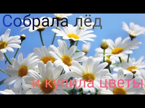 Видео: Собрала лëд и купила цветы.