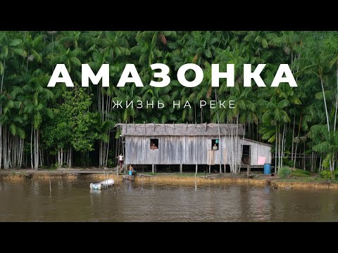 Видео: Амазонка. Жизнь на самой длинной реке мира