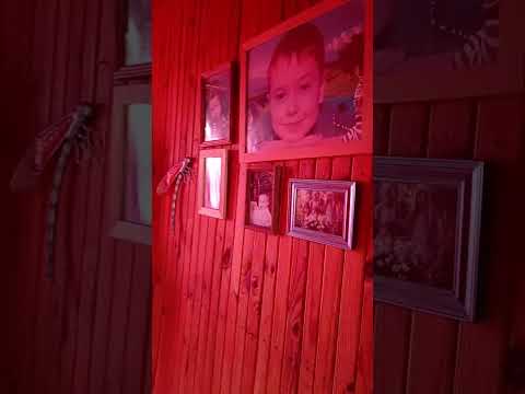 Видео: 4 октября 2025 г.