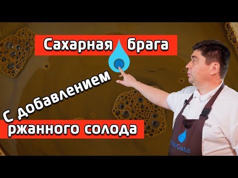 Видео: САХАРНАЯ БРАГА С ДОБАВЛЕНИЕМ РЖАНОГО СОЛОДА