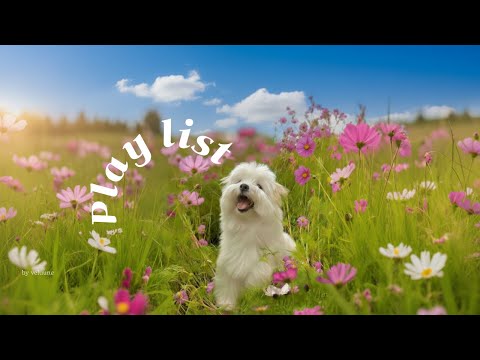 Видео: 𝐏𝐥𝐚𝐲𝐥𝐢𝐬𝐭 [Cafe] Осеннее утро, дарящее счастье❤️ Рабочая музыка для хорошего настроения | Фоновая