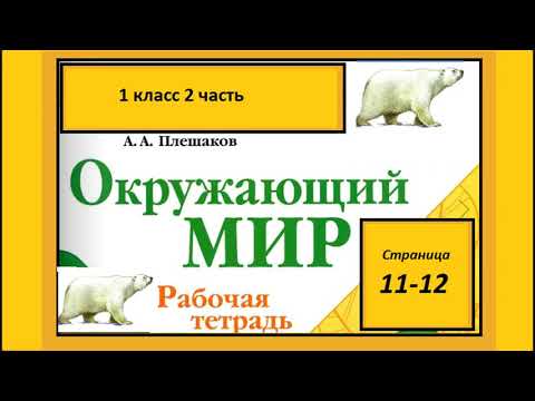 Видео: Окружающий мир 1 класс рабочая тетрадь 2 часть. Где живут белые медведи
