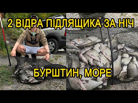 Видео: ЗЛОВИЛИ 2 ВІДРА ПІДЛЯЩИКА ЗА НІЧ. Риболовля на ляща. БУРШТИН. МОРЕ.
