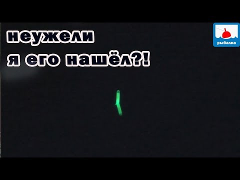 Видео: А если половить вечером и ночью крупного этого карася