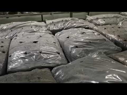 Видео: Перфорация брикетов. Выращивание шампиньонов.