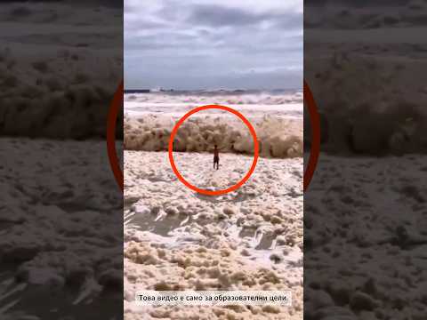 Видео: Никога не отсядайте на такъв плаж‼️🚫🏝️😨