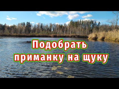 Видео: Осень требует Подобрать приманку! И щука на каждом забросе!