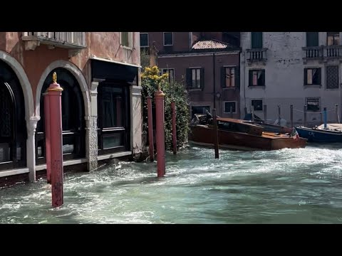 Видео: ❣️Venezia сегодня😊Без Buongiorno🤷‍♀️забыла поприветствовать вас☺️