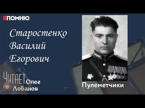 Видео: Старостенко Василий Егорович.  Проект "Я помню" Артема Драбкина. Пулеметчики.