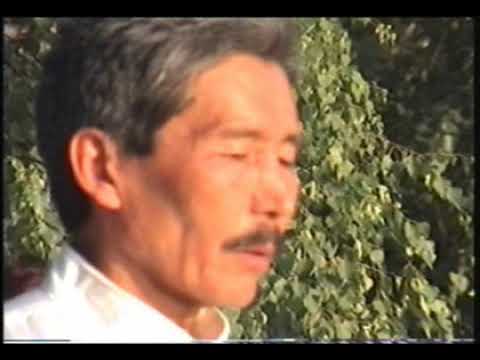 Видео: Тайцзи Цигун Хунь Юань Гун 1 ступень (фильм на русском)