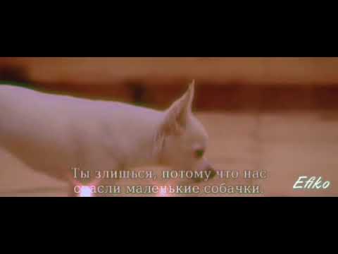 Видео: крошка из Беверли Хиллз клип целуешь прощаешь