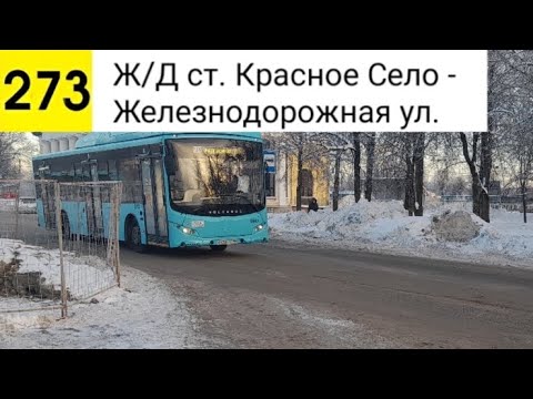 Видео: Автобус 273. Ж/Д ст. Красное Село - Железнодорожная ул.