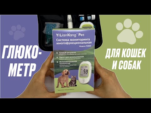 Видео: Глюкометр для кошек и собак YiLianKang Pet(полный обзор на русском языке)