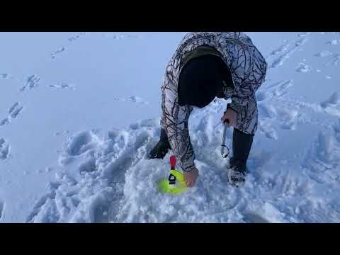 Видео: Щука на жерлицы!!!Рыбалка на Финском заливе на Аэродоме.База Подборовье.