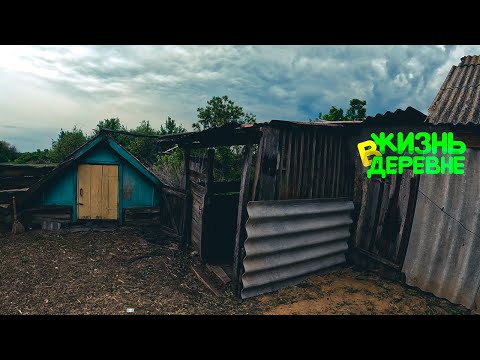 Видео: Захотелось мне курятник
