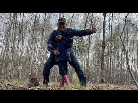 Видео: ГРИБНИКИ ВЫШЛИ НА СЛЕД СМОРЧКОВ НО ГАДЮКА ВСТАЛА ПОПЕРЁК ПУТИ ! Грибы 2024 !