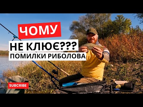 Видео: Помилки Фідериста. Як правильно ловити на фідер? Риболовні поради.