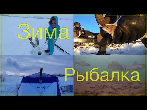 Видео: Зимняя рыбалка. Палатка Пульсар, в мороз ночуем с ребенком. Уха. Хариус. Winter grayling fishing.