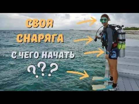 Видео: ТОП-5 элементов снаряжения для дайвинга, которые стоит купить новичку