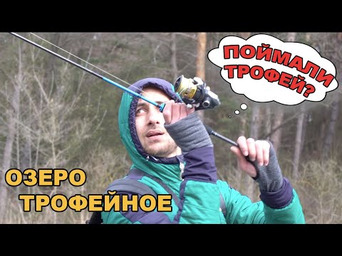 Видео: ОЗЕРО ТРОФЕЙНОЕ / А ЕСТЬ-ЛИ ТРОФЕЙ ?