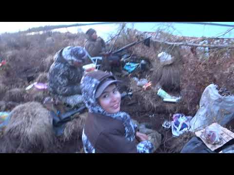 Видео: Приключения на Колыму. часть 2. Охота