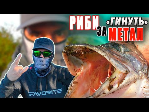 Видео: СТАРІ ДОБРІ ПРИМАНКИ РУЛЯТЬ! 🎣 ЩУКА на металеві БЛЕШНІ! Спінінгова риболоваля на Дніпрі.