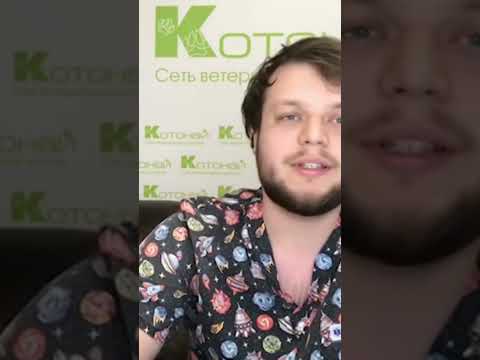 Видео: Как подготовиться к появлению питомца в доме