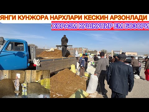 Видео: МАНА ЯНГИ КУНЖОРА НАРХЛАРИ КЕСКИН АРЗОНЛАДИ ЕНДИ МОЛ БОКСА БУЛАДИ 24-октябрь