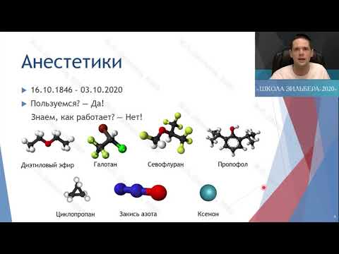 Видео: Гипнотики М.С.Данилов