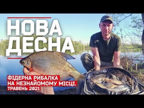 Видео: НОВА ДЕСНА. ФІДЕРНА РИБАЛКА НА НЕЗНАЙОМОМУ МІСЦІ. ТРАВЕНЬ 2021.