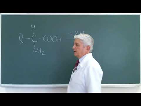 Видео: 9:50 Катаболизм белков 2