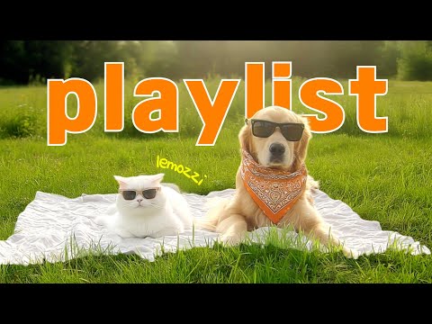 Видео: Playlist🎧 Нажал play — и сразу стало радостно📀 | chill modern r&b groove | lemozzi🍋