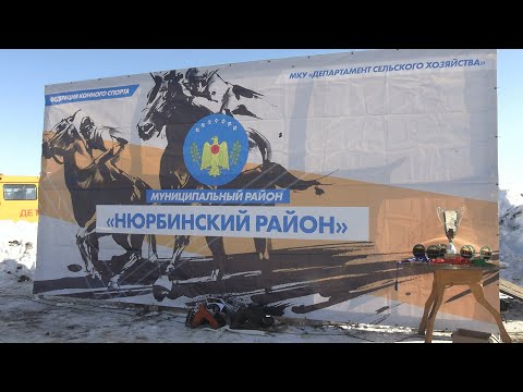 Видео: "Сылгыһыт күрэҕэ -2024"