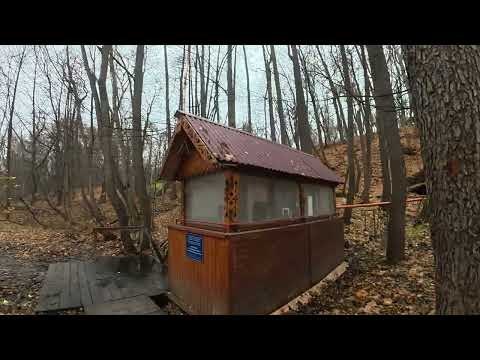 Видео: Тёплый ноябрь.🍂🍁