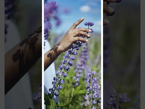 Видео: Все життя я йшов до тебе, рідна #besteurodance #eurodisco #love #classicdancemusic #rek #music 