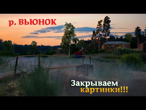 Видео: ЗАКРЫВАЮ КАРТИНКИ на р. ВЬЮНОК | ОСТАЛИСЬ РАК и ПЕРЛОВИЦА | СТРИМ по РР4