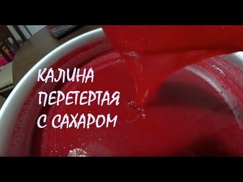 Видео: КАЛИНА перетертая с сахаром на Аксионе и через сито_01.11.2024