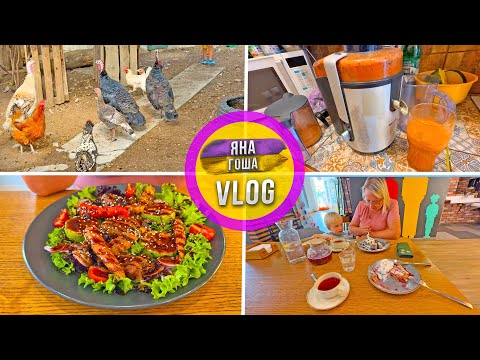 Видео: Индюшата подросли! Дима на развивавшках! Купили соковыжималку на Авито. Вкусный обед за 2000 руб!