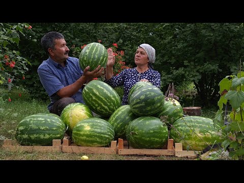 Видео: Готовим Арбузный Сок на Зиму