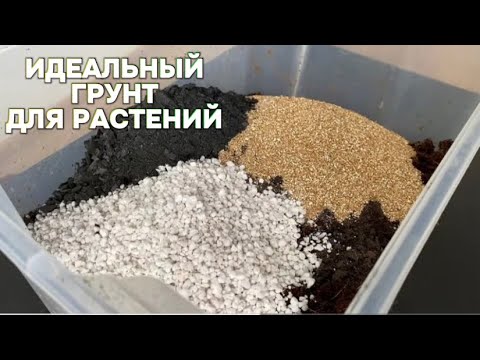 Видео: Универсальный-Идеальный рецепт грунта|Быстрый рост растений