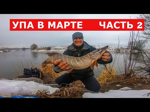 Видео: Упа в марте, ловля щуки, ЧАСТЬ 2