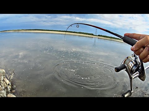 Видео: ЗМЕИ НЕ ДАЮТ ЛОВИТЬ РЫБУ! Нашёл КУЧУ РЫБЫ возле камней