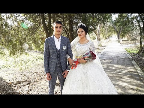 Видео: Цыганская свадьба  2 Часть  31 12 2023 г   Свадьба  Давид и Нина