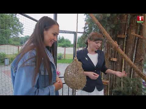 Видео: Большая Берестовица. Маршрут построен.