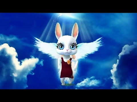 Видео: Zoobe Зайка И снова буду я мечтать!