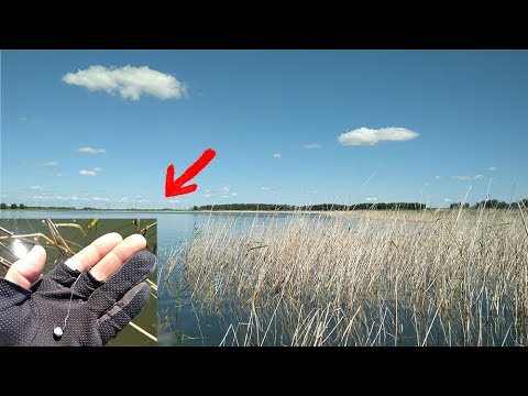 Видео: ВОТ ЭТО РЫБАЛКА!!! Карась на пенопласт - убойная снасть для ловли карася, леща, язя