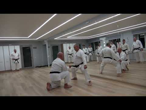 Видео: Скорость удара1