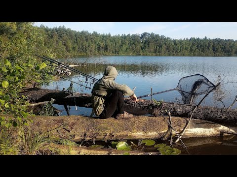 Видео: Я зловив рибу в найстрашніших корягах! Риболовля на Волині
