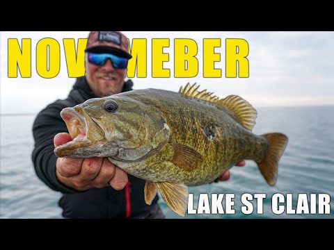 Видео: Ловля гигантского осеннего малоротого окуня с отцом на озере Сент-Клер!