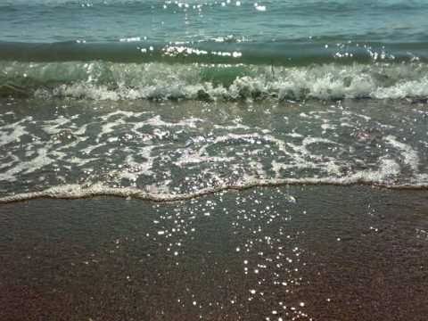 Видео: Находка- любовь всей жизни